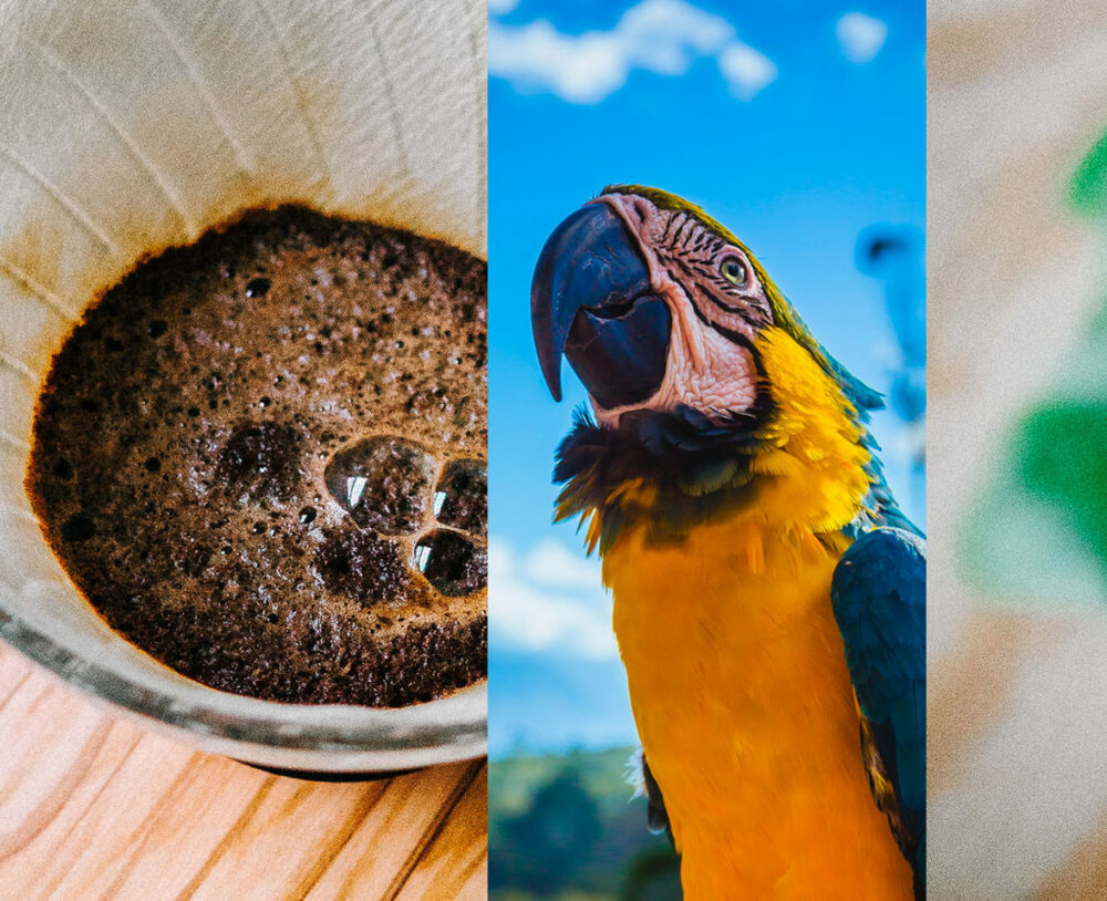 Sambaka Eau de Parfum 100 ml