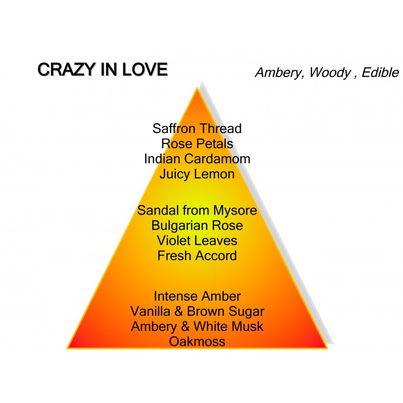 Crazy in Love Eau de Parfum 100 ml