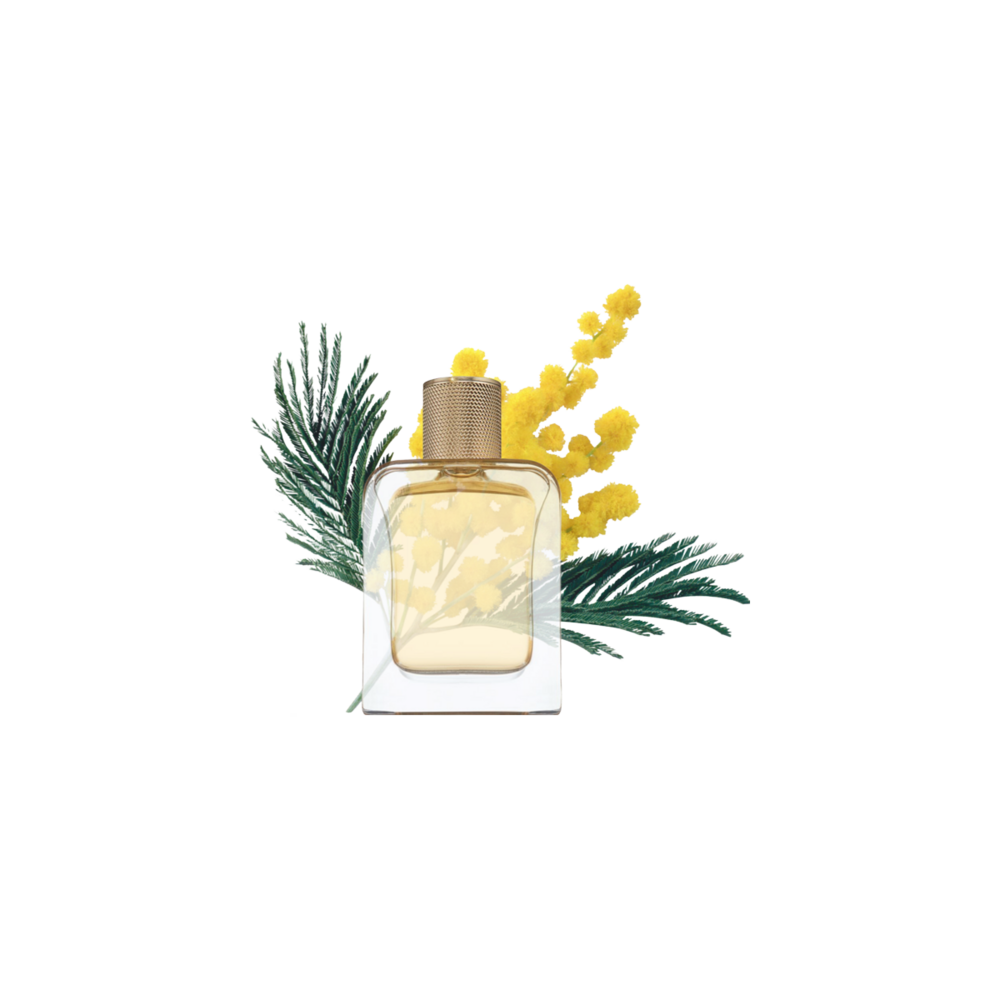 Sur la Plage Eau de Parfum 85m