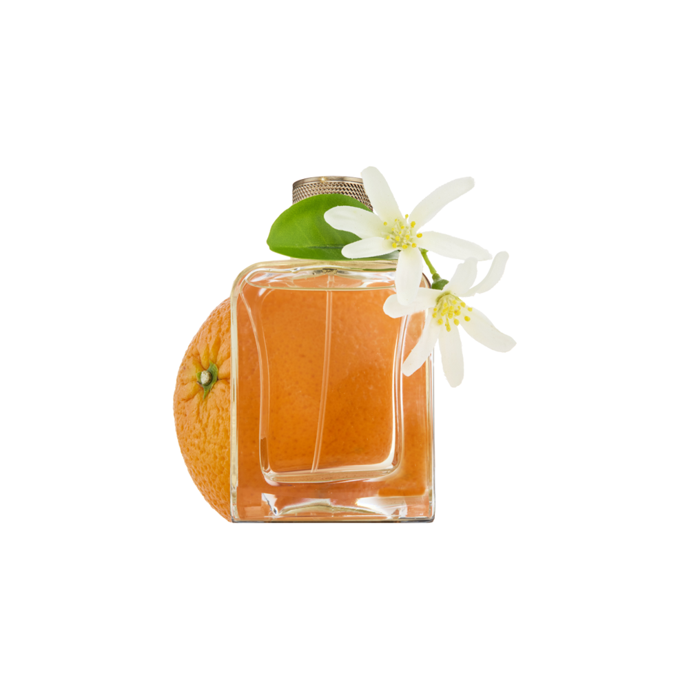 Sur la Plage Eau de Parfum 85m