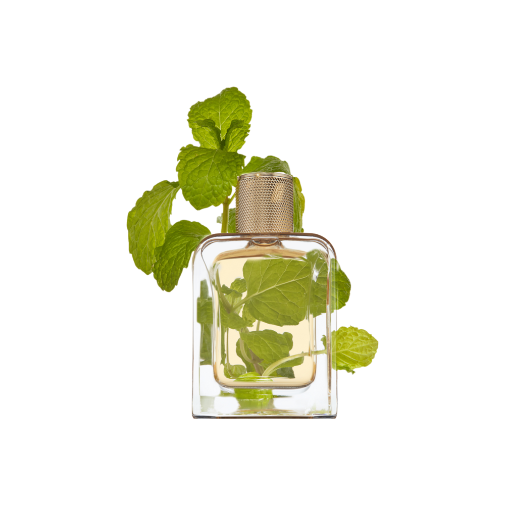 Vert Desir Eau de Parfum 85m
