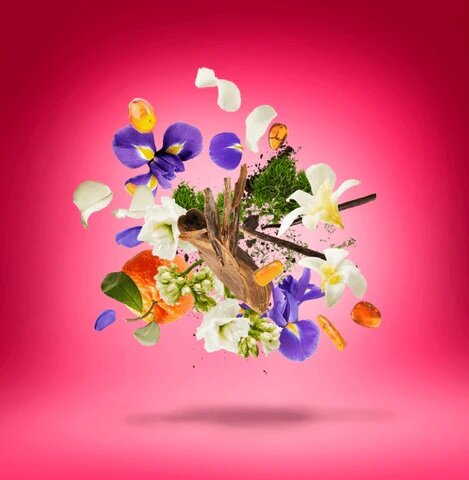 Coro Eau de Parfum 100 ml