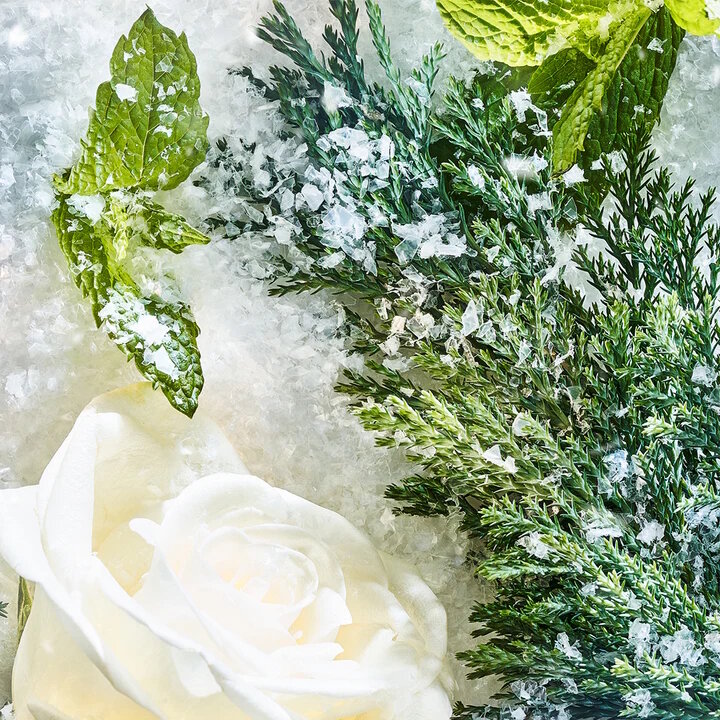 Isola Snow Parfum 50ml