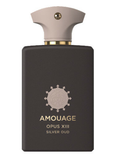 Amouage Silver Man 1.7 oz Eau de Parfum Spray - Walmart.com