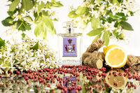 Gelsomini di Capri Eau de Parfum 100 ml