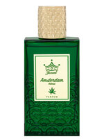 Amsterdam Intense Eau de Parfum 100 ml