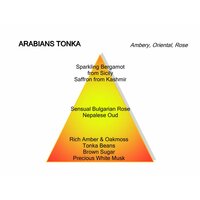 Arabians Tonka Eau de Parfum 100 ml