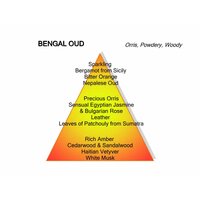 Bengal Oud Eau de Parfum 100 ml
