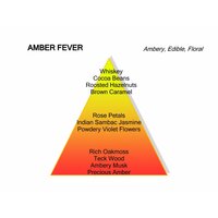 Amber Fever Eau de Parfum 120 ml