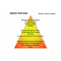 Crazy for Oud Eau de Parfum 120 ml