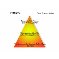 Feminity Eau de Parfum 120 ml