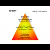 Infinity Eau de Parfum 100 ml