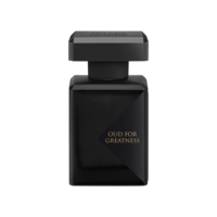 Oud for Greatness Hair Mist