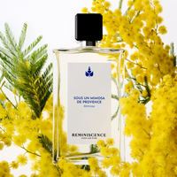 SOUS UN MIMOSA DE PROVENCE