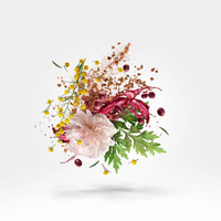 Zefiro Eau de Parfum 100 ml