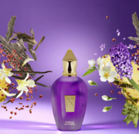 Purple Accento Eau de Parfum 100 ml