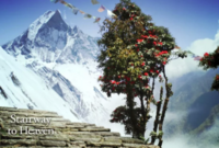 Stairway to Heaven 50 ml Extrait de Parfum