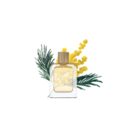  Souvenirs De Tunisie Eau de Parfum 85m