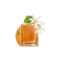  Souvenirs De Tunisie Eau de Parfum 85m