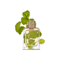 Vert Desir Eau de Parfum 85m