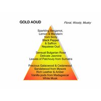 Gold Aoud eau de parfum 60 ml