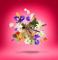 Coro Eau de Parfum 100 ml