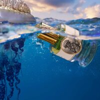 Portuguese Man O' War 60 ml 