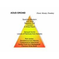 Aoud Orchid Eau de Parfum 60 ml