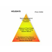 Holidays eau de parfum 60ml