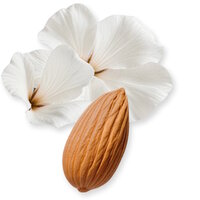 Valaya Exclusif Parfum 75 ml 