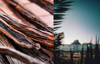 Mojito Chypre Eau de Parfum 50 ml