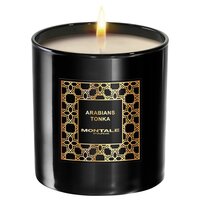 Montale Arabians Tonka