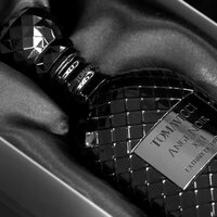 Tomavicci Ange Noir XXI