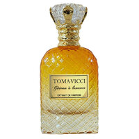 Tomavicci G&acirc;teau &agrave; l'Ananas