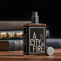 Imaginary Authors A City on Fire