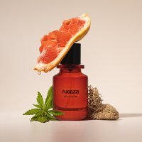 Fugazzi Nocologne