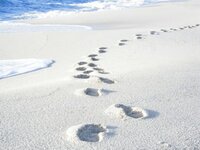 Sabbia Bianca Extrait de Parfum 100 ml