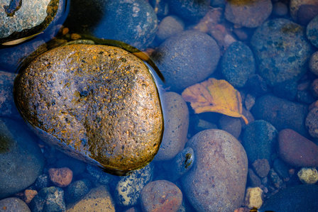 LUNE D&rsquo;EAU Eau de Parfum