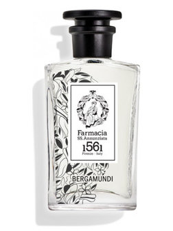 Bergamundi Eau de Parfum 100 ml