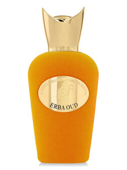 Erba Oud Eau de Parfum 100 ml