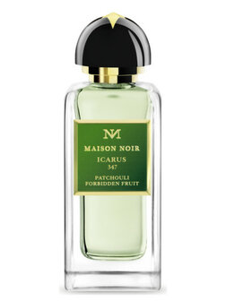 ICARUS 347 Eau de Parfum 100 ml