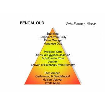 Bengal Oud Eau de Parfum 100 ml