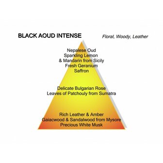 Black Aoud Intense Extrait de Parfum 100 ml