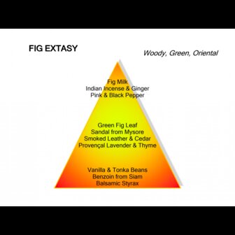 Fig Extasy eau de parfum 120ml