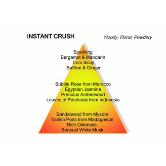 INSTANT CRUSH Eau de Parfum 120 ML
