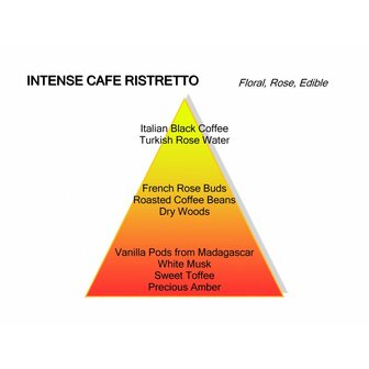 Ristretto Intense Cafe Extrait de Parfum 100 ml