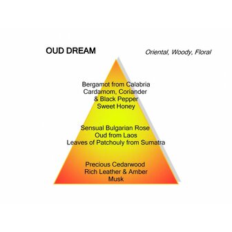 Oud Dream Eau de Parfum 100 ml