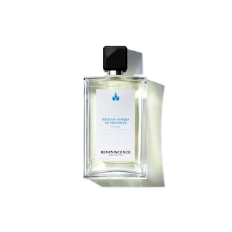 SOUS UN MIMOSA DE PROVENCE