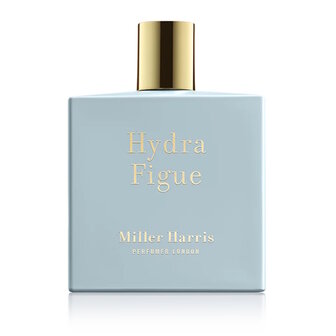 Hydra Figue