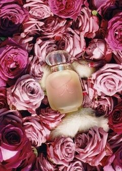 Une Folie de Rose EDP 100 ml